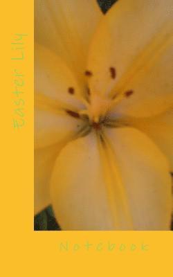 Easter Lily 1