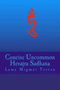 bokomslag Concise Uncommon Hevajra Sadhana