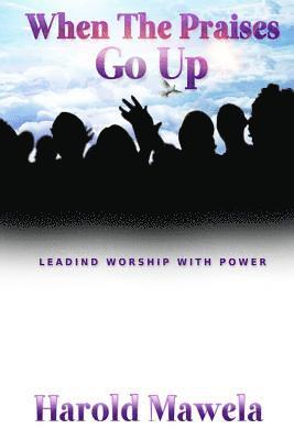 bokomslag When the Praises Go Up: Leading Worship with Power