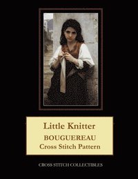 bokomslag Little Knitter