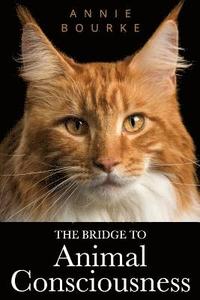 bokomslag The Bridge To Animal Consciousness