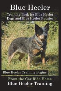 bokomslag Blue Heeler Training Book for Blue Heeler Dogs and Blue Heeler Puppies By D!G THIS Dog Training: Blue Heeler Training Begins From the Car Ride Home Bl