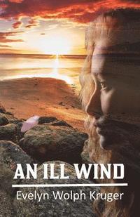 bokomslag An Ill Wind