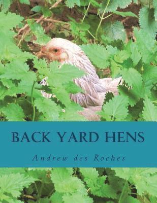 Back Yard Hens 1