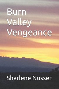 bokomslag Burn Valley Vengeance