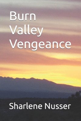 bokomslag Burn Valley Vengeance