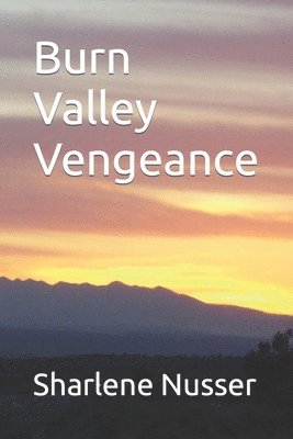 bokomslag Burn Valley Vengeance