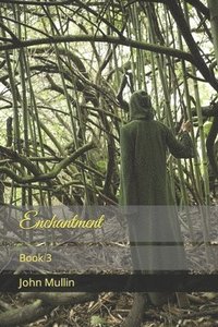 bokomslag Enchantment Book 3