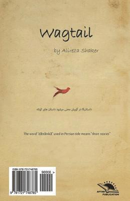 bokomslag Wagtail / Dom Jonbaanak: Short Story Collection