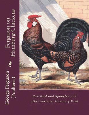 Ferguson on Hamburg Chickens: Pencilled and Spangled and other varieties Hamburg Fowl 1