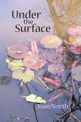 Under the Surface 1
