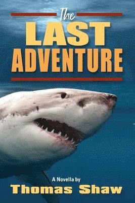 The Last Adventure 1