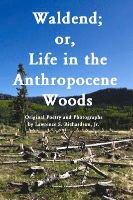 bokomslag Waldend; or, Life in the Anthropocene Woods.: Original Photos and Poems from the Anthropocene Trail