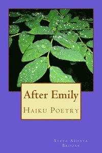 bokomslag After Emily: Poetry by Steve Abhaya Brooks