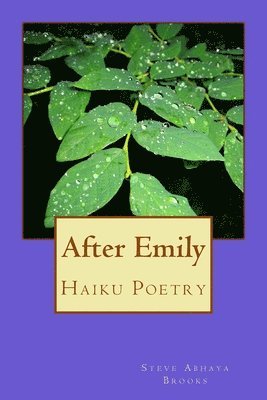 After Emily: Poetry by Steve Abhaya Brooks 1