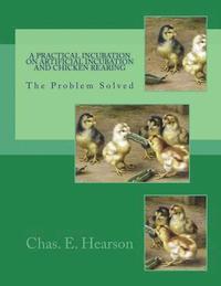 bokomslag A Practical Incubation on Artificial Incubation and Chicken Rearing: The Problem Solved