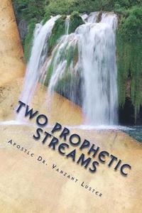 bokomslag Two Prophetic Streams: ''the Prophet and the Seer''