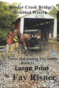 bokomslag Bender Creek Bridge's Troubled Waters: Nurse Hal Among The Amish