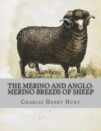 bokomslag The Merino and Anglo-Merino Breeds of Sheep