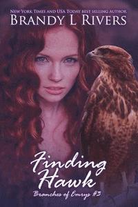 bokomslag Finding Hawk