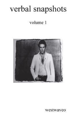 verbal snapshots: volume 1