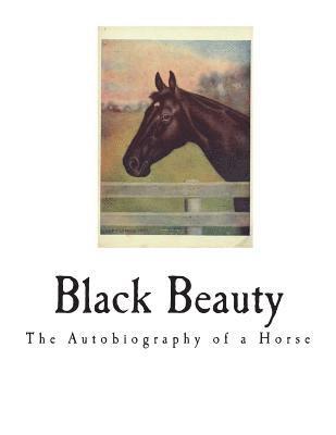 bokomslag Black Beauty: The Autobiography of a Horse