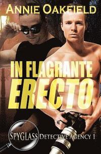 bokomslag In Flagrante Erecto
