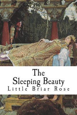 bokomslag The Sleeping Beauty