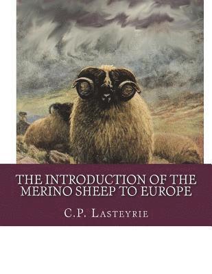 The Introduction of the Merino Sheep To Europe 1