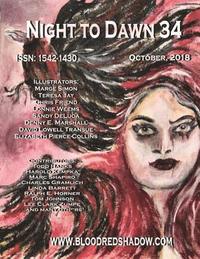 bokomslag Night to Dawn 34