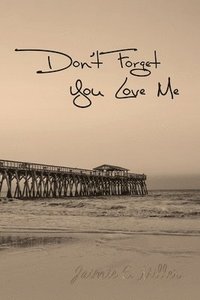 bokomslag Don't Forget You Love Me