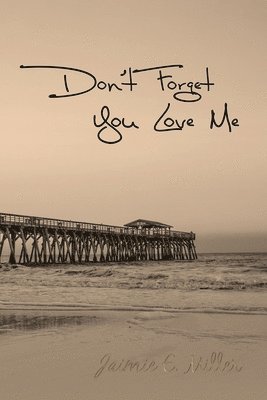 bokomslag Don't Forget You Love Me