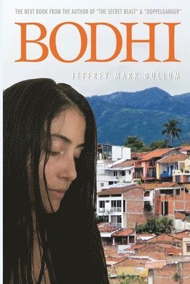 Bodhi: One Man's Journey with The Law of Attraction 1