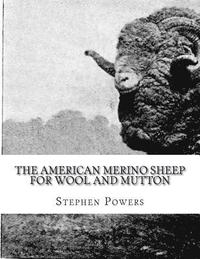 bokomslag The American Merino Sheep For Wool and Mutton: The Selection, Care, Breeding and Diseases of the Merino Sheep