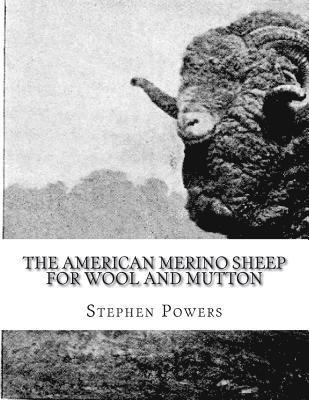 Stephen Powers - The American Merino Sheep For Wool and Mutton: The Selection, Care, Breeding and Diseases of the Merino Sheep, Häftad