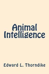 bokomslag Animal Intelligence