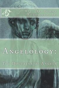 bokomslag Angelology: The Doctrine of Angels