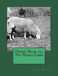 bokomslag Dorset Sheep, or; The Winter Lamb