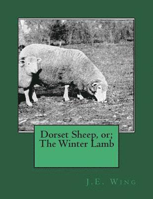 Dorset Sheep, or; The Winter Lamb 1