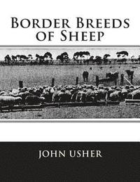 bokomslag Border Breeds of Sheep
