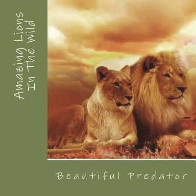 Amazing Lions In The Wild: Beautiful Preditors 1