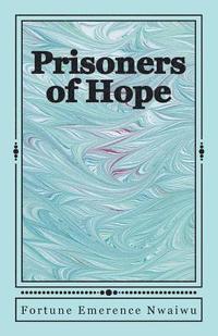 bokomslag Prisoners of Hope: - a story about pain and healing