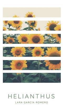 Helianthus 1