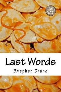 bokomslag Last Words