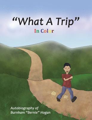 What A Trip: In Color 1