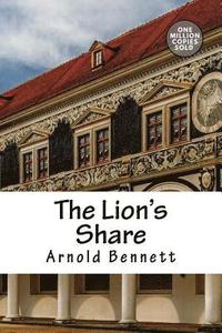 bokomslag The Lion's Share