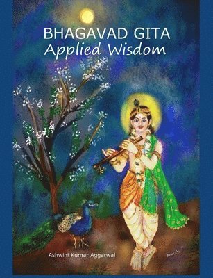 bokomslag Bhagavad Gita Applied Wisdom