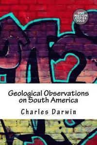 bokomslag Geological Observations on South America