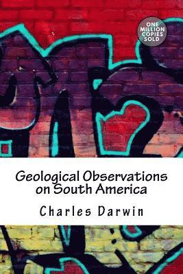 bokomslag Geological Observations on South America