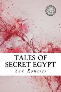 bokomslag Tales of Secret Egypt